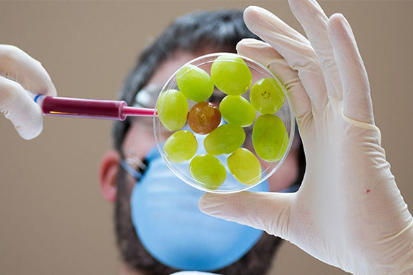 Food Safety Supervisor FoSTaC Basic (FSSAI)