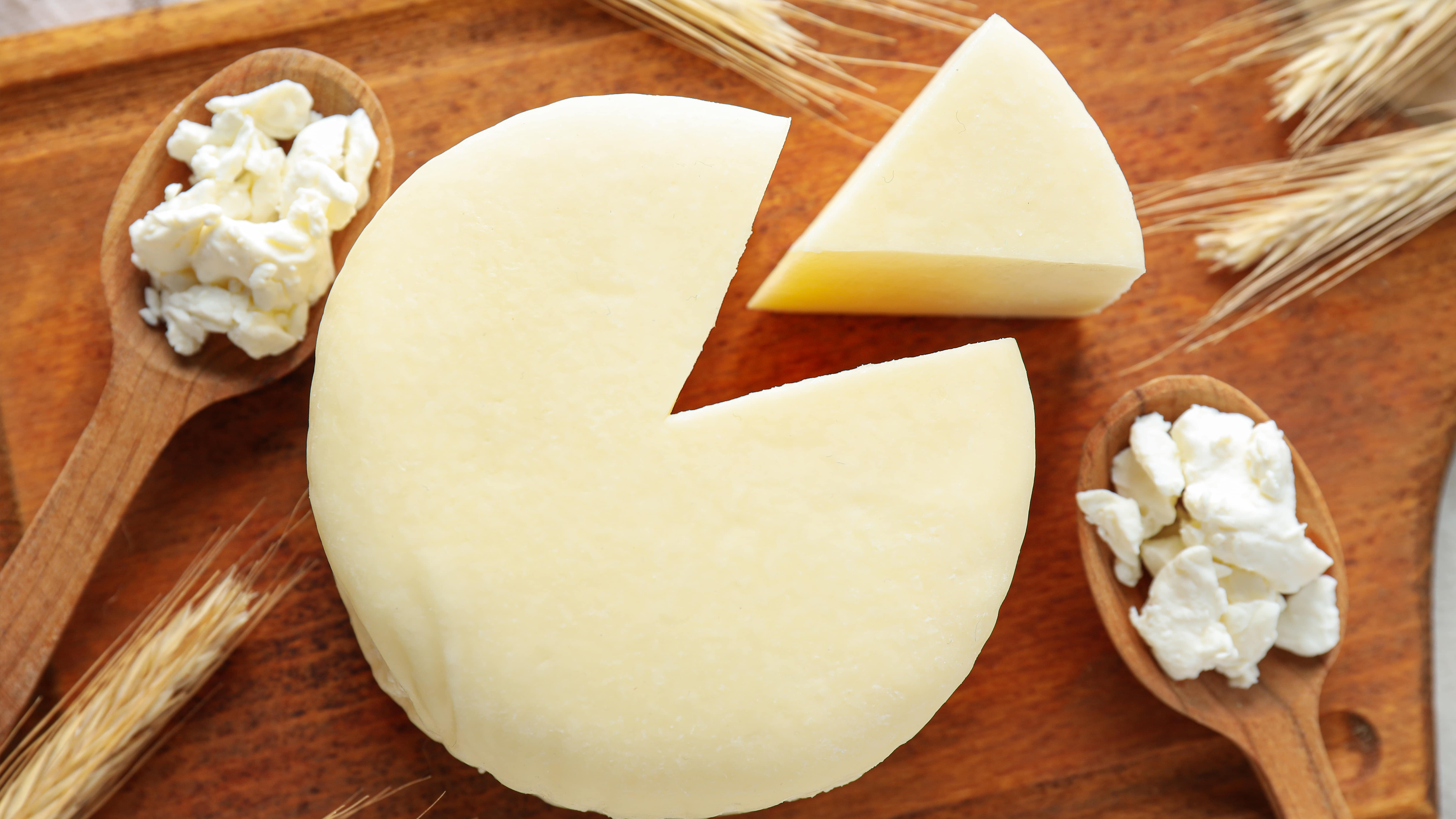 The Rise of Artisanal Cheese in India: A New Dairy Revolution